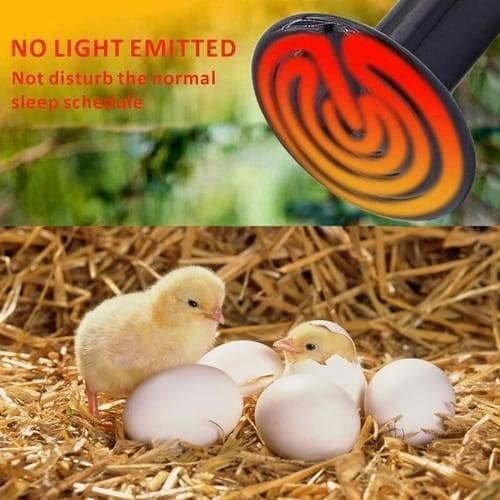 100w 220v Egg Incubator Heating Element Mini Infrared Ceramic Heating Controller Bulb Light